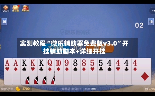 实测教程“微乐辅助器免费版v3.0”开挂辅助脚本+详细开挂-第3张图片