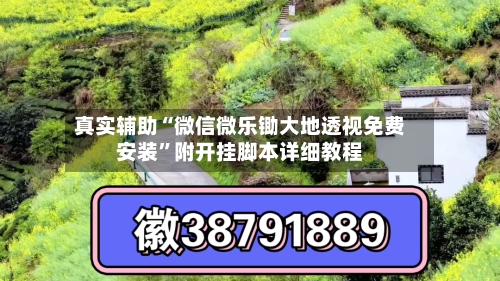 真实辅助“微信微乐锄大地透视免费安装	”附开挂脚本详细教程-第2张图片