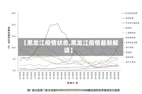 【黑龙江疫情状态,黑龙江疫情最新解读】-第3张图片