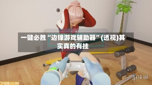 一键必胜“边锋游戏辅助器”(透视)其实真的有挂-第2张图片