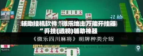 辅助挂机软件“微乐地主万能开挂器”开挂(透视)辅助神器-第2张图片