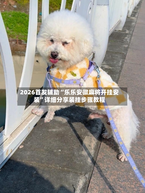 2026首发辅助“乐乐安徽麻将开挂安装”详细分享装挂步骤教程-第3张图片