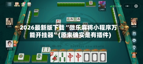 2026最新版下载“微乐麻将小程序万能开挂器	”(原来确实是有插件)-第2张图片