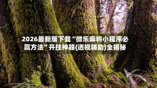 2026最新版下载“微乐麻将小程序必赢方法”开挂神器{透视辅助}全揭秘-第2张图片