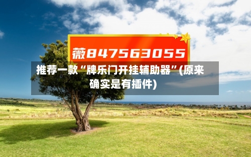 推荐一款“牌乐门开挂辅助器”(原来确实是有插件)-第3张图片