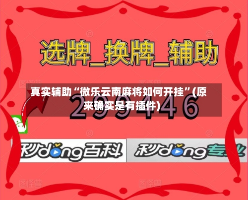 真实辅助“微乐云南麻将如何开挂	”(原来确实是有插件)-第2张图片