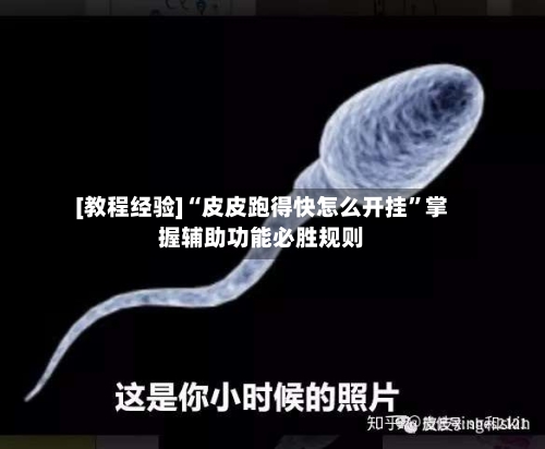 [教程经验]“皮皮跑得快怎么开挂”掌握辅助功能必胜规则-第2张图片