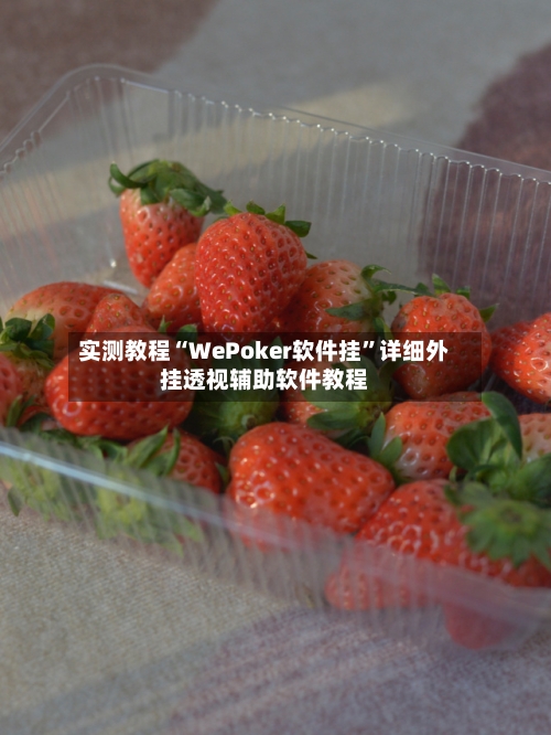 实测教程“WePoker软件挂	”详细外挂透视辅助软件教程-第3张图片