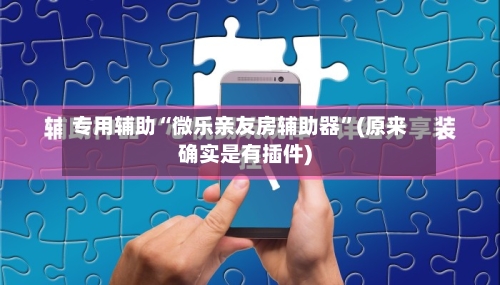 专用辅助“微乐亲友房辅助器”(原来确实是有插件)-第3张图片