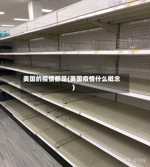 美国的疫情都是(美国疫情什么概念)-第2张图片