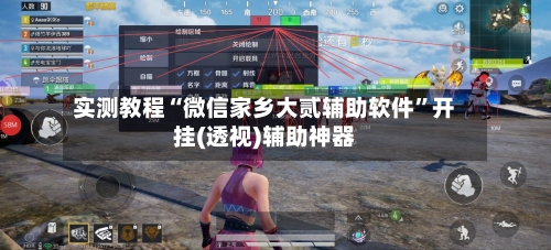 实测教程“微信家乡大贰辅助软件”开挂(透视)辅助神器-第3张图片