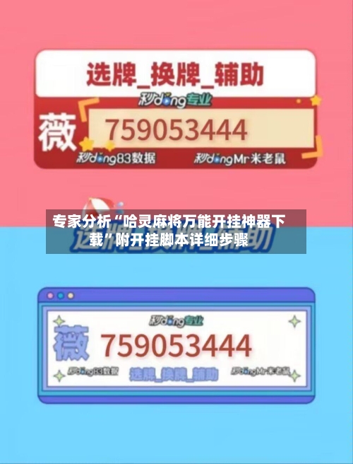 专家分析“哈灵麻将万能开挂神器下载”附开挂脚本详细步骤-第3张图片