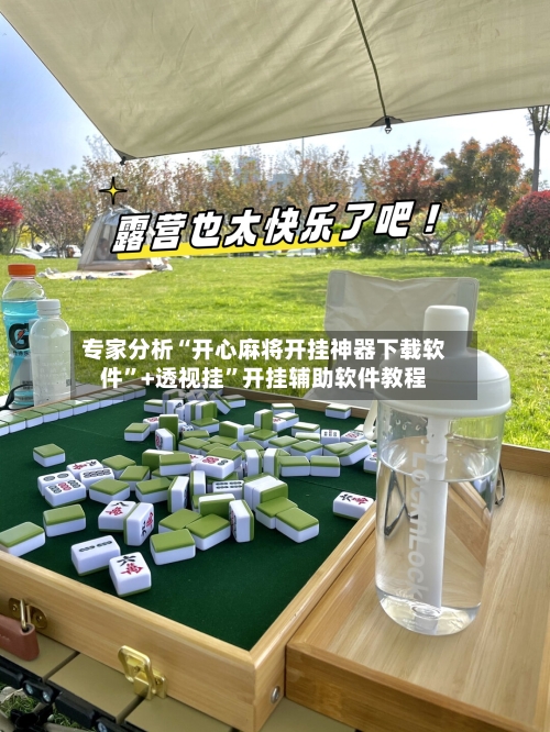 专家分析“开心麻将开挂神器下载软件”+透视挂	”开挂辅助软件教程-第2张图片