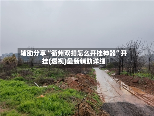 辅助分享“衢州双扣怎么开挂神器”开挂(透视)最新辅助详细-第3张图片