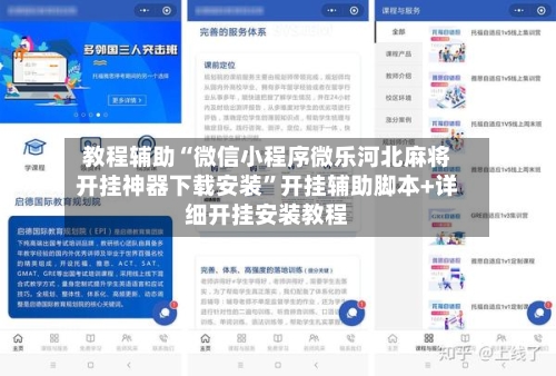 教程辅助“微信小程序微乐河北麻将开挂神器下载安装	”开挂辅助脚本+详细开挂安装教程-第3张图片