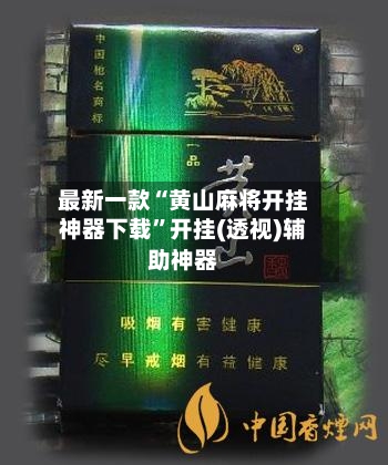 最新一款“黄山麻将开挂神器下载”开挂(透视)辅助神器-第3张图片