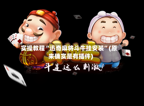 实操教程“迅奇麻将斗牛挂安装	”(原来确实是有插件)-第2张图片