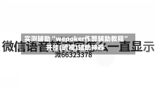 实测辅助“wepoker作弊辅助教程	”开挂(透视)辅助神器-第2张图片