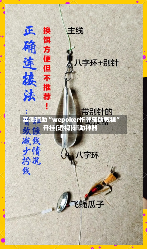 实测辅助“wepoker作弊辅助教程”开挂(透视)辅助神器-第3张图片