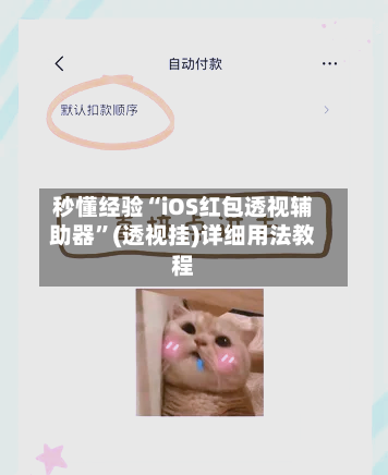 秒懂经验“iOS红包透视辅助器”(透视挂)详细用法教程-第3张图片