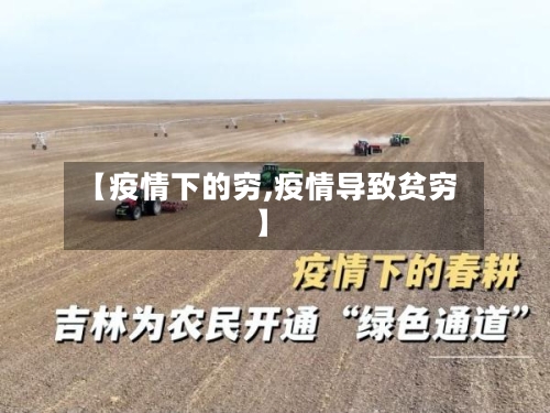 【疫情下的穷,疫情导致贫穷】-第3张图片