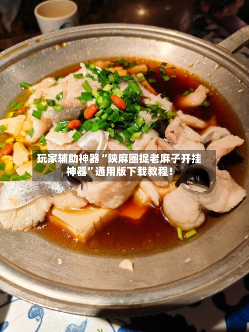 玩家辅助神器“陕麻圈捉老麻子开挂神器”通用版下载教程！-第2张图片