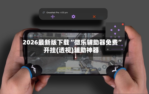 2026最新版下载“微乐辅助器免费”开挂(透视)辅助神器-第3张图片