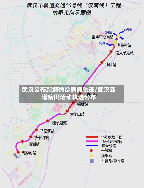 武汉公布新增确诊病例轨迹/武汉新增病例活动轨迹公布-第2张图片