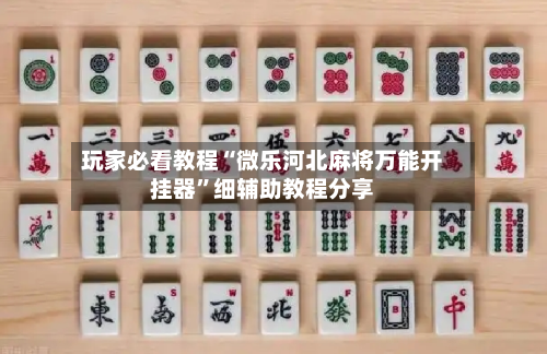 玩家必看教程“微乐河北麻将万能开挂器”细辅助教程分享-第2张图片