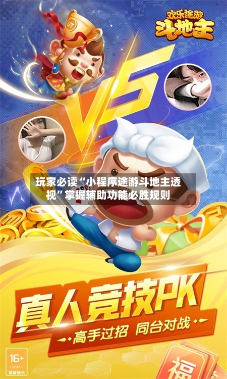 玩家必读“小程序途游斗地主透视”掌握辅助功能必胜规则-第3张图片
