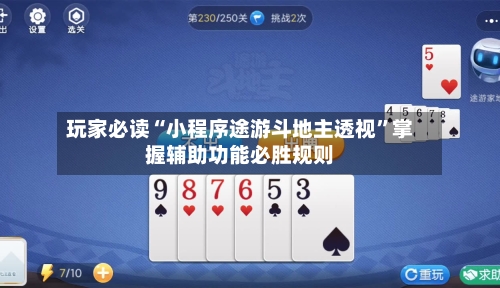 玩家必读“小程序途游斗地主透视	”掌握辅助功能必胜规则-第2张图片