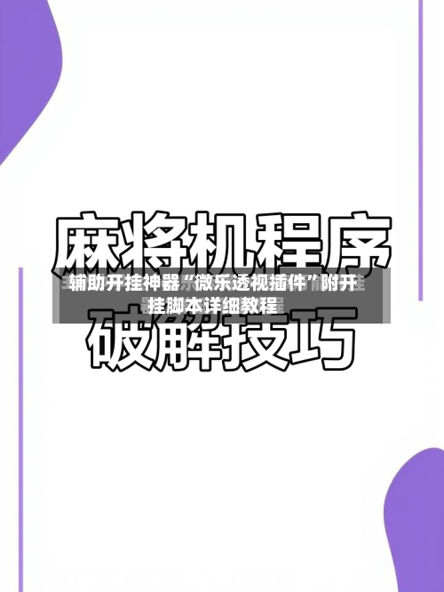 辅助开挂神器“微乐透视插件”附开挂脚本详细教程-第2张图片