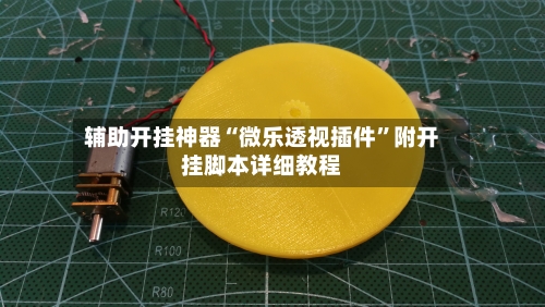 辅助开挂神器“微乐透视插件	”附开挂脚本详细教程-第3张图片