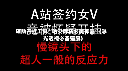 辅助开挂工具“哈灵麻将必赢神器	”(曝光透视必备猫腻)-第2张图片