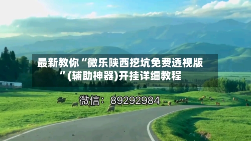 最新教你“微乐陕西挖坑免费透视版”(辅助神器)开挂详细教程-第2张图片