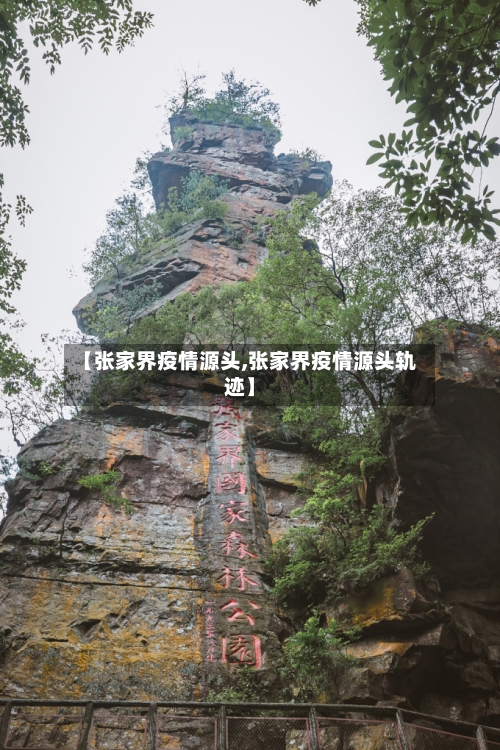 【张家界疫情源头,张家界疫情源头轨迹】-第3张图片