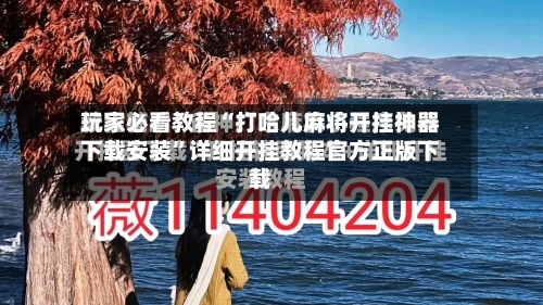 玩家必看教程“打哈儿麻将开挂神器下载安装	”详细开挂教程官方正版下载-第2张图片
