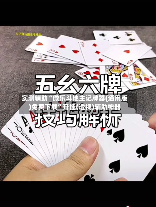 实测辅助“微乐斗地主记牌器(通用版)免费下载	”开挂(透视)辅助神器-第2张图片