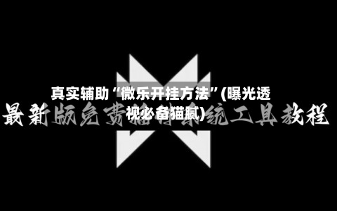 真实辅助“微乐开挂方法	”(曝光透视必备猫腻)-第2张图片
