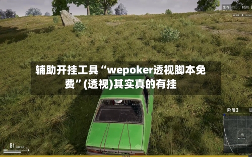 辅助开挂工具“wepoker透视脚本免费”(透视)其实真的有挂-第2张图片