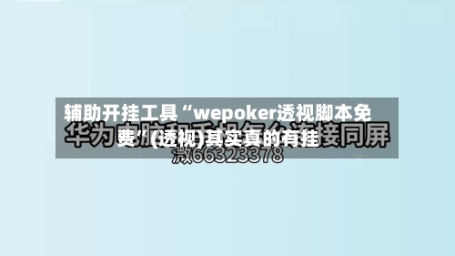 辅助开挂工具“wepoker透视脚本免费”(透视)其实真的有挂-第3张图片