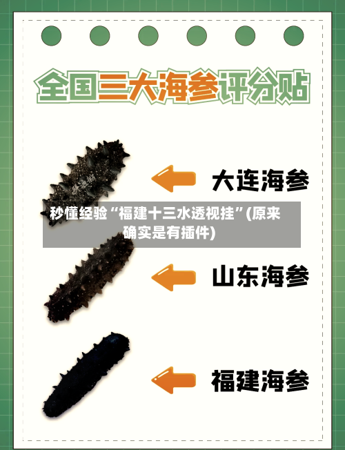 秒懂经验“福建十三水透视挂”(原来确实是有插件)-第3张图片