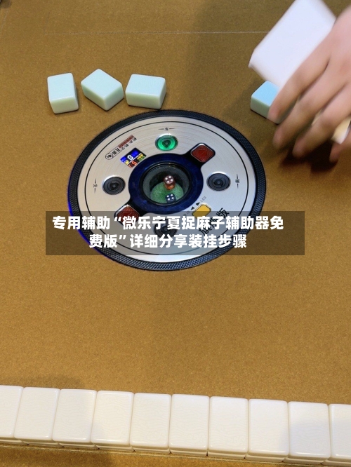 专用辅助“微乐宁夏捉麻子辅助器免费版	”详细分享装挂步骤-第3张图片