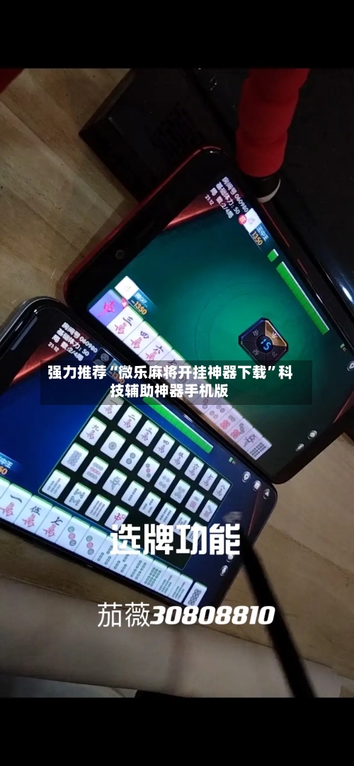 强力推荐“微乐麻将开挂神器下载”科技辅助神器手机版-第2张图片
