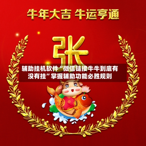 辅助挂机软件“微信链接牛牛到底有没有挂”掌握辅助功能必胜规则-第3张图片