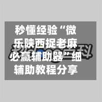 秒懂经验“微乐陕西捉老麻必赢辅助器”细辅助教程分享-第3张图片