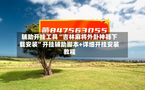 辅助开挂工具“吉林麻将外卦神器下载安装	”开挂辅助脚本+详细开挂安装教程-第2张图片