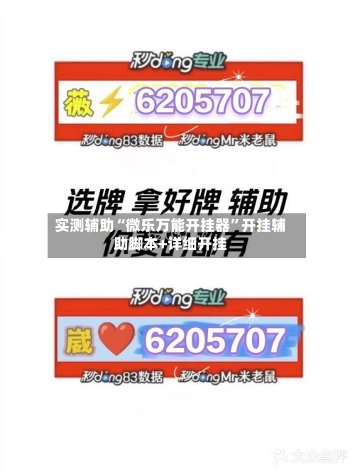 实测辅助“微乐万能开挂器”开挂辅助脚本+详细开挂-第3张图片