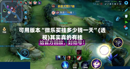 可用版本“微乐买挂多少钱一天	”(透视)其实真的有挂-第3张图片