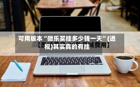 可用版本“微乐买挂多少钱一天”(透视)其实真的有挂-第2张图片